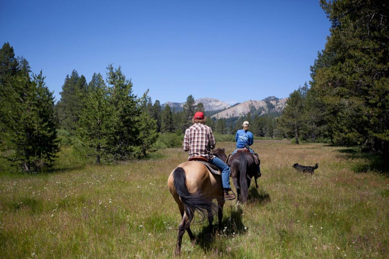 Camp Telemark- Hot Tub- Pet Friendly- Wood Fireplace - Amenities Villa Truckee Exterior photo